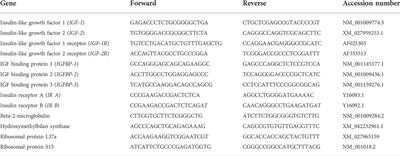 Sheep recombinant IGF-1 promotes organ-specific growth in fetal sheep